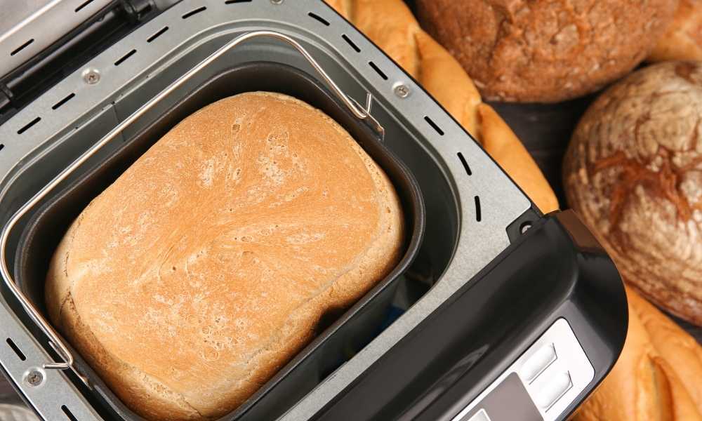 when to remove paddle from Cuisinart bread machine